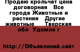 Продаю крольчат цена договорная - Все города Животные и растения » Другие животные   . Тверская обл.,Удомля г.